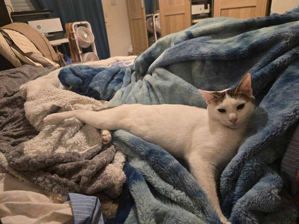 ANGE a rejoint sa famille le 12 janvier 2025