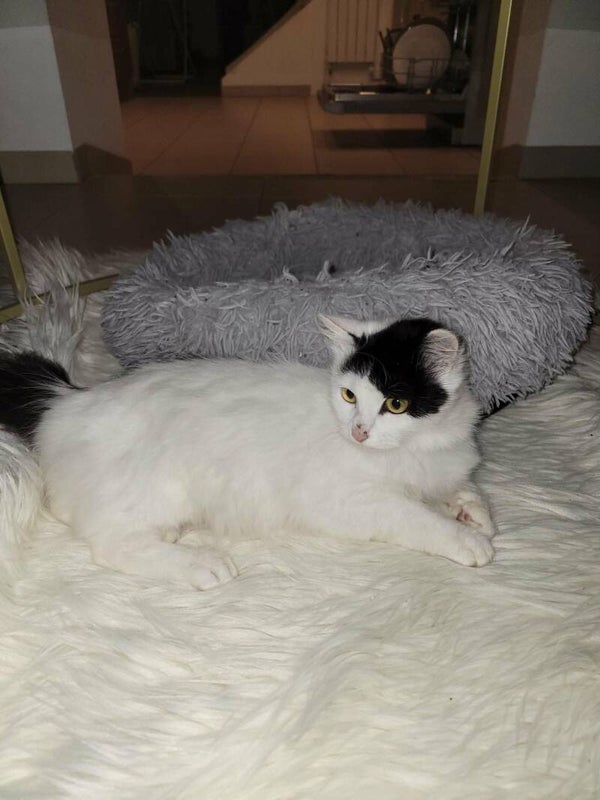 AROME a rejoint sa famille le 1er avril 2026