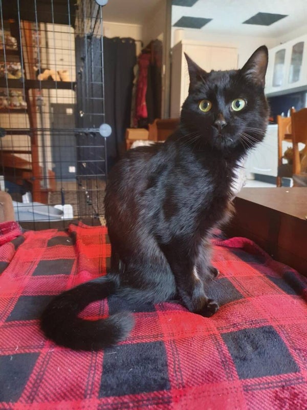 ATLAS a rejoint sa famille le 8 mars 2026