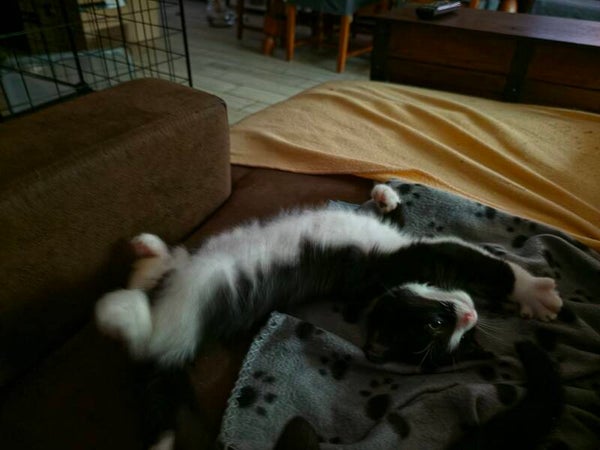 BALOO