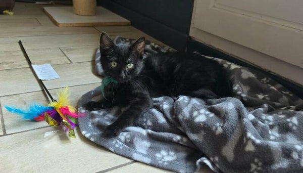 BETTY a rejoint sa famille le 5 juillet 2026