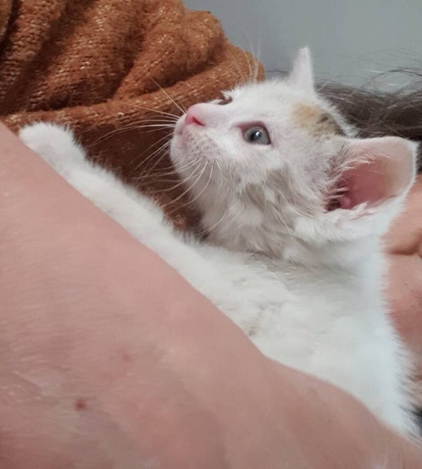 ELISA a rejoint sa famille avec Izza le 1er aout 2025