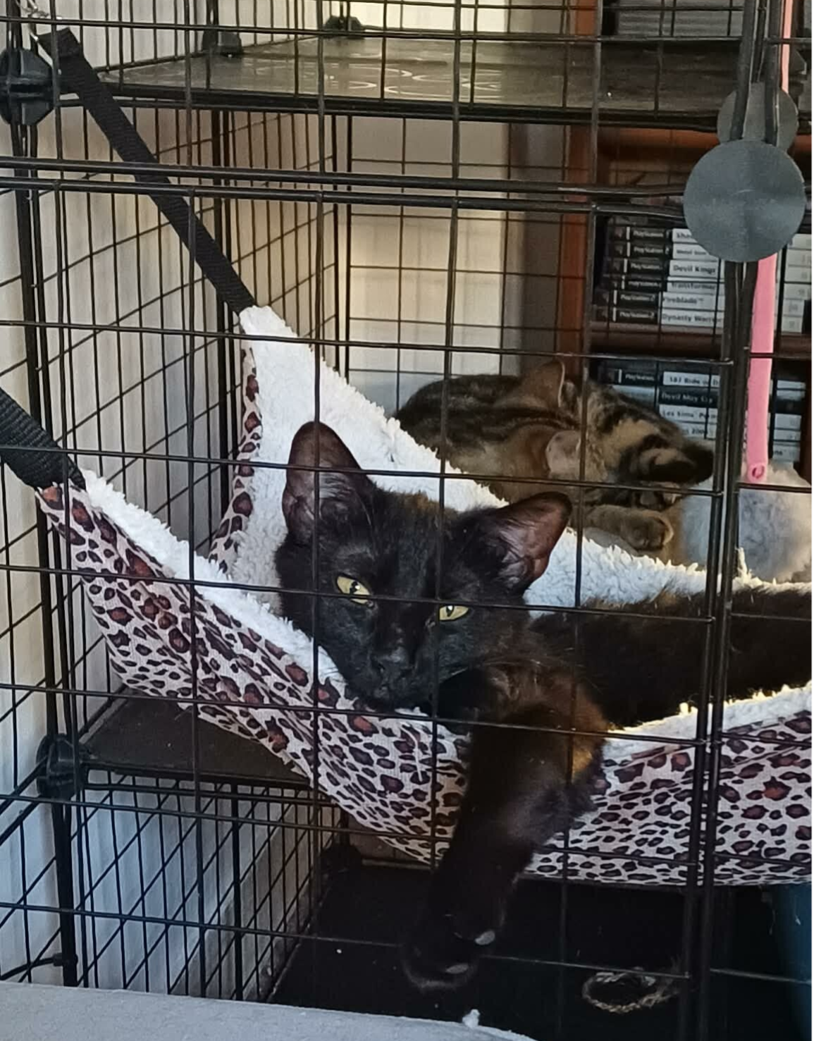 NYX