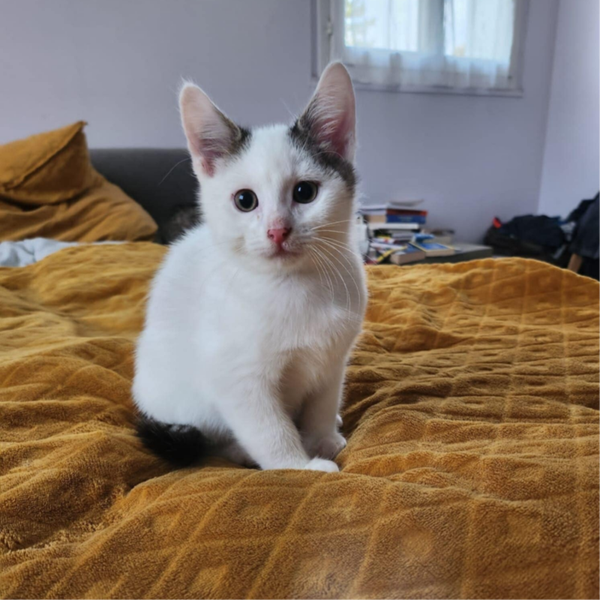 ORION a rejoint sa famille le 12 novembre