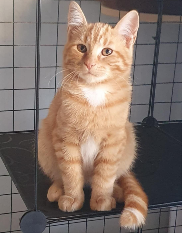 AKAGE a rejoint sa famille le 18 septembre 2025