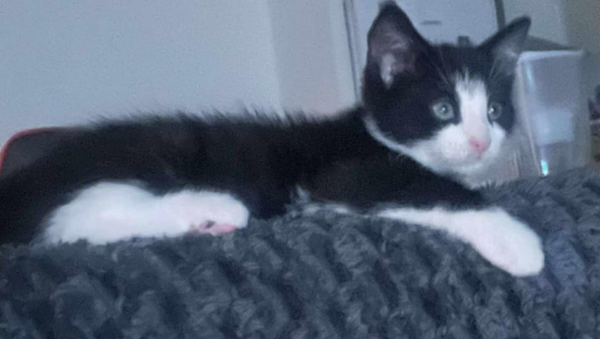 KHYLA a rejoint sa famille le 22 aout avec son frere Kairo