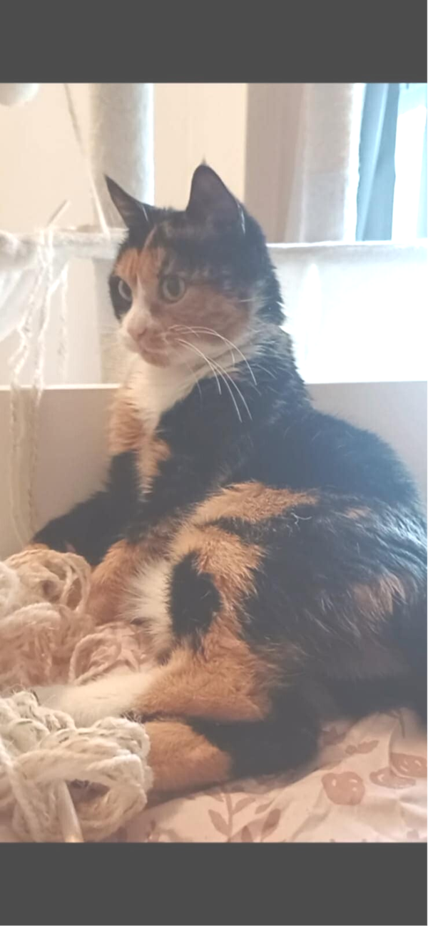 RHÉA a rejoint sa famille le 8 mars 2026