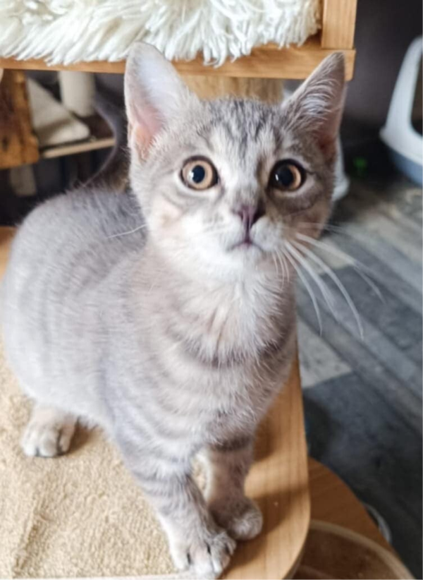 BUCKY a rejoint sa famille le 9 novembre