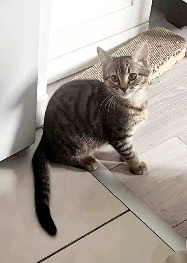 MAGGY a rejoint sa famille le 6 septembre 2025