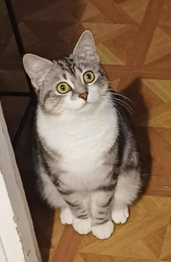 MAÏTÉ a rejoint sa famille le 9mars 2026