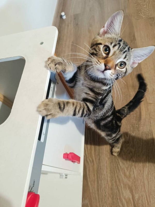 MARU