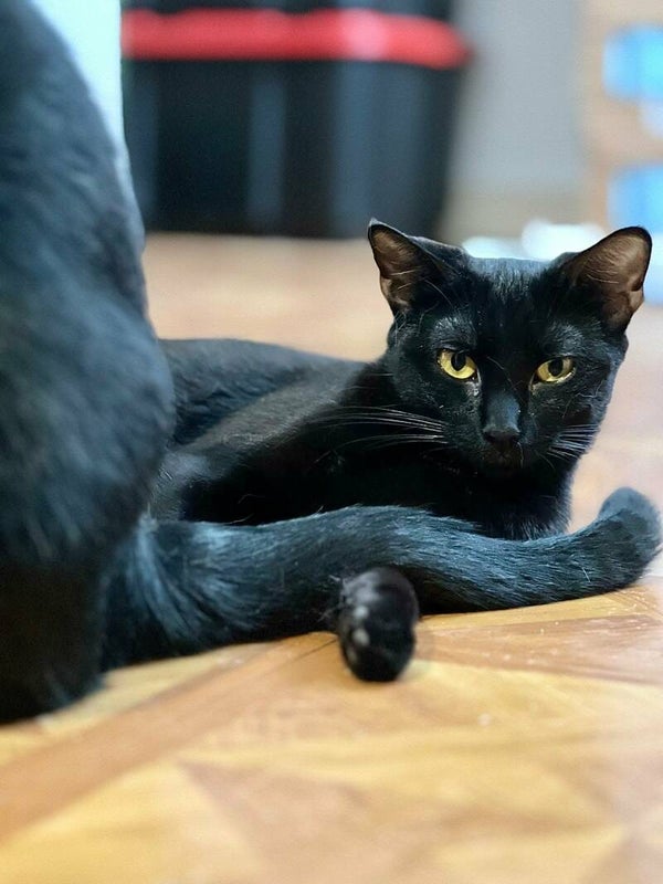 NYX