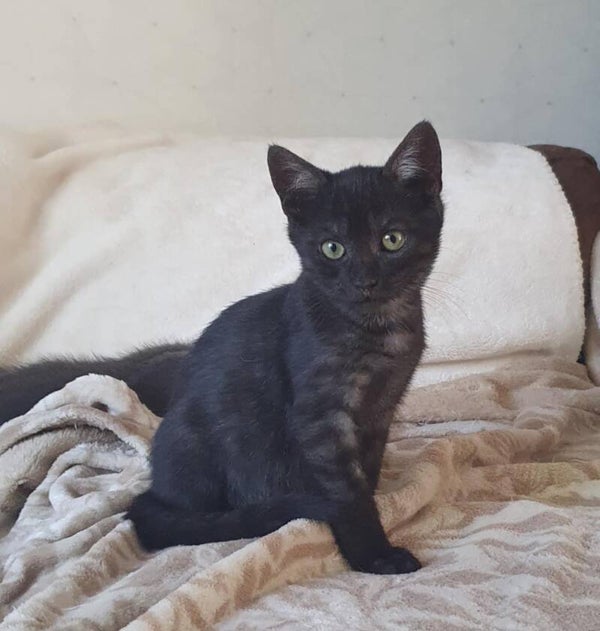 PECAN a rejoint sa famille le 4 octobre 2025 avec Coco