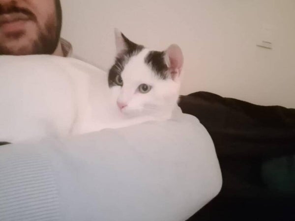 SÉLÉNÉ a rejoint sa famille le 28 décembre 2025