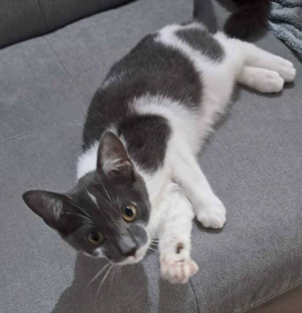 YUKA est parti dans sa famille le 15 décembre 2024