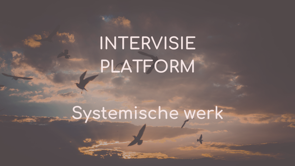 Intervisie Platform systemisch werken -   22 november 2025