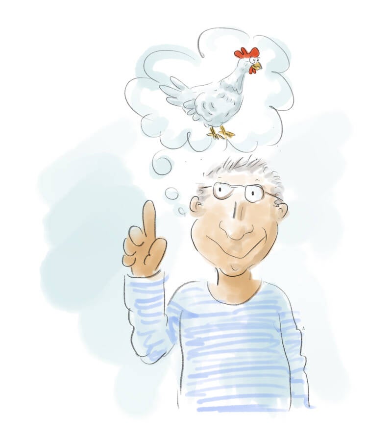 Das Bergmannshuhn, Illustration "die Idee" 2