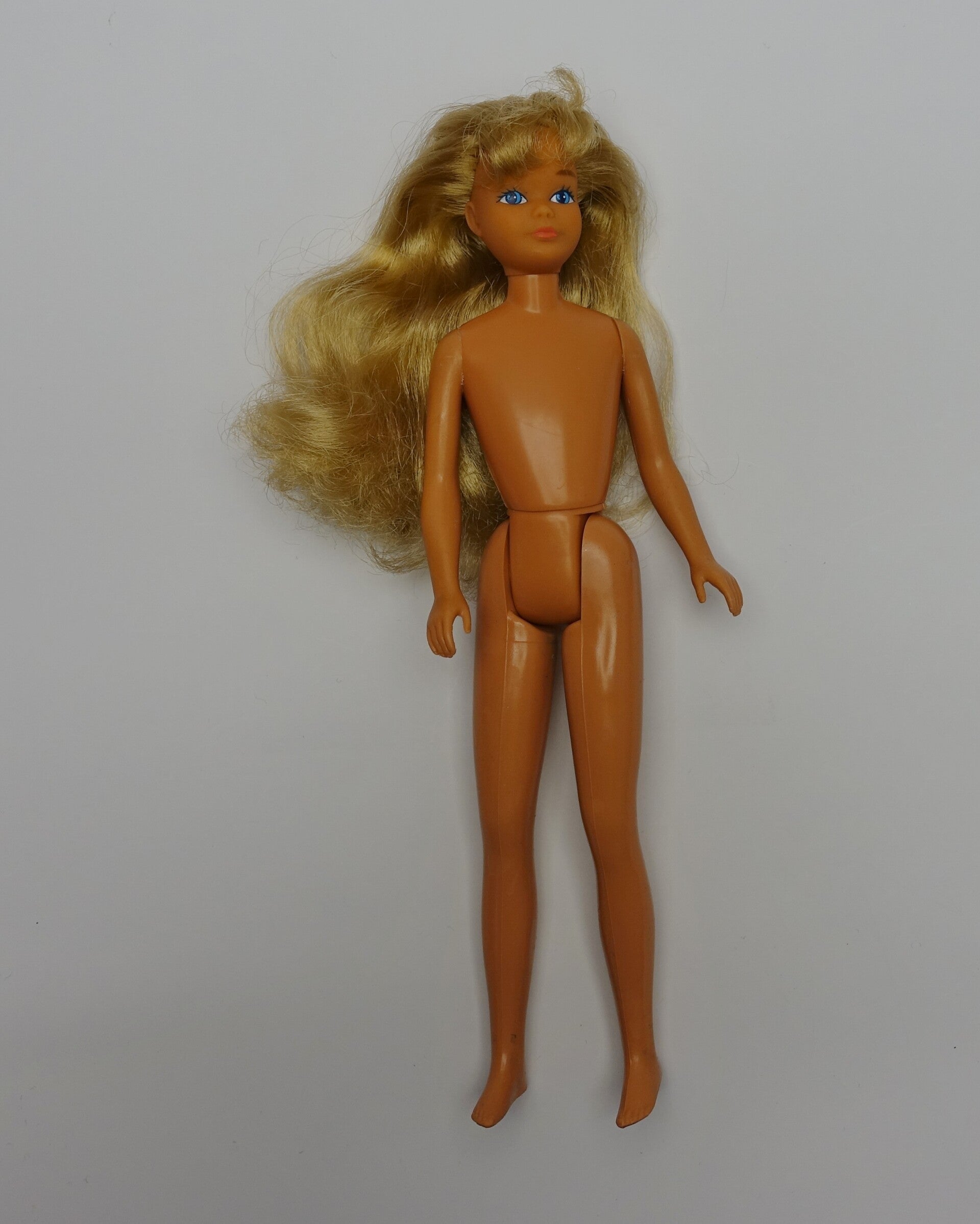 1983 Great Shape Skipper 2