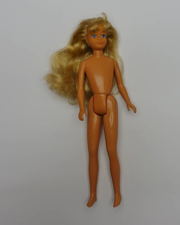 1983 Great Shape Skipper 2