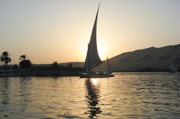 Felouque pressée : Activer le mode urgent (livraison sous 24h à 72h - Hors delai postal)