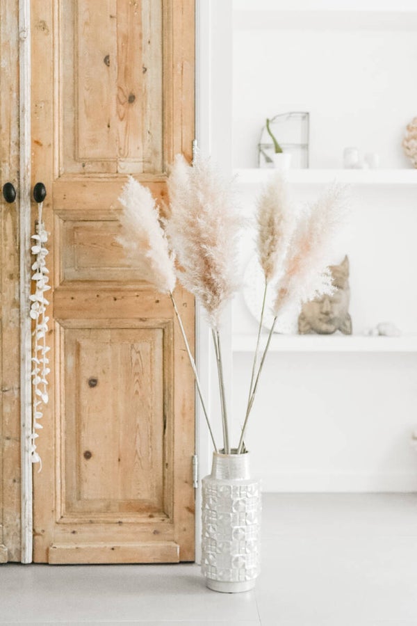 5 st. Pampasgrass | Zandkleurig | Naturel