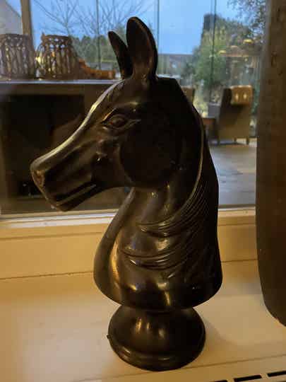 Paardenhoofd Schaakstuk