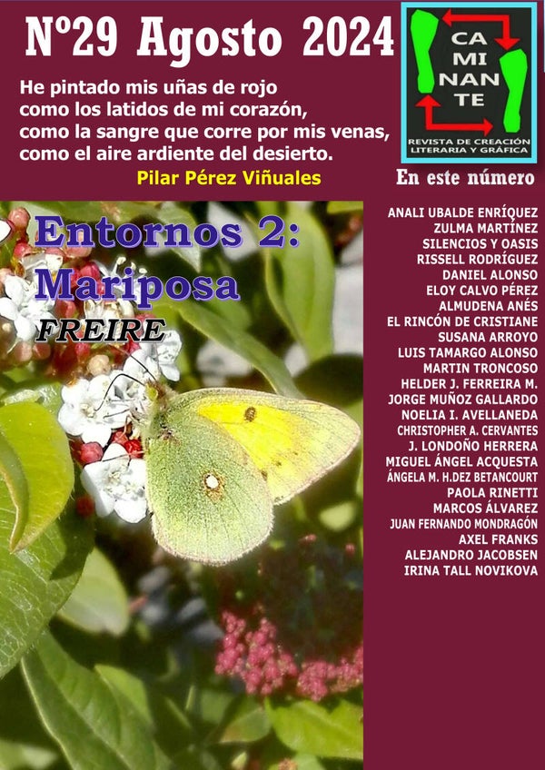 Caminante 29 Agosto 2024