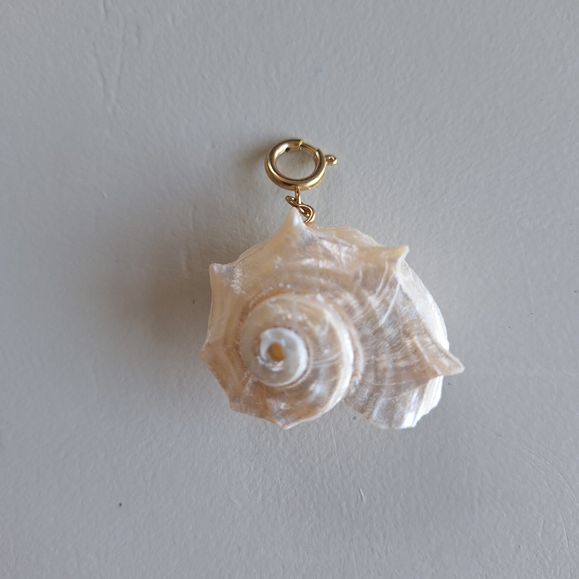 Natuurlijke witte schelp bedel