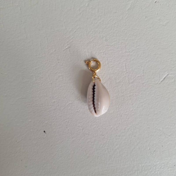 Kauri schelp bedel