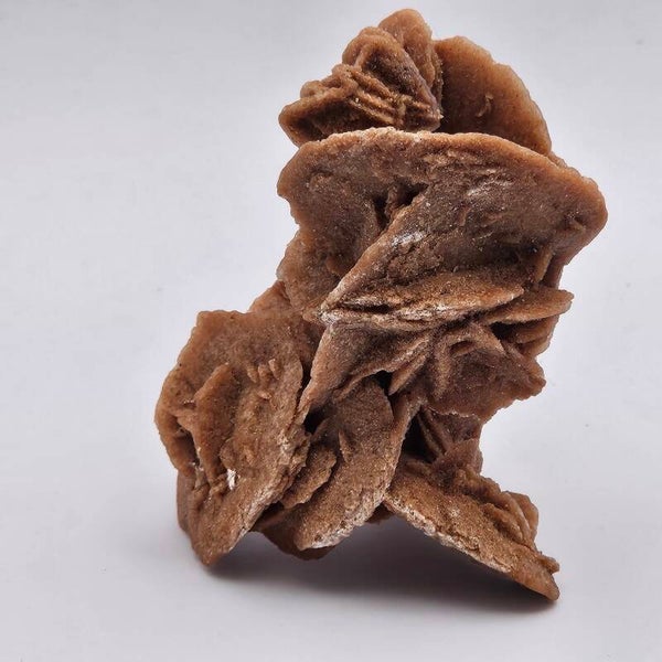 ROSA DEL DESIERTO NATURAL (6-7 CM)