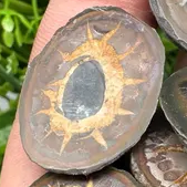 SEPTARIA PULIDA "PIEDRA DRAGON" 3 cm