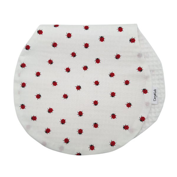 Ladybug