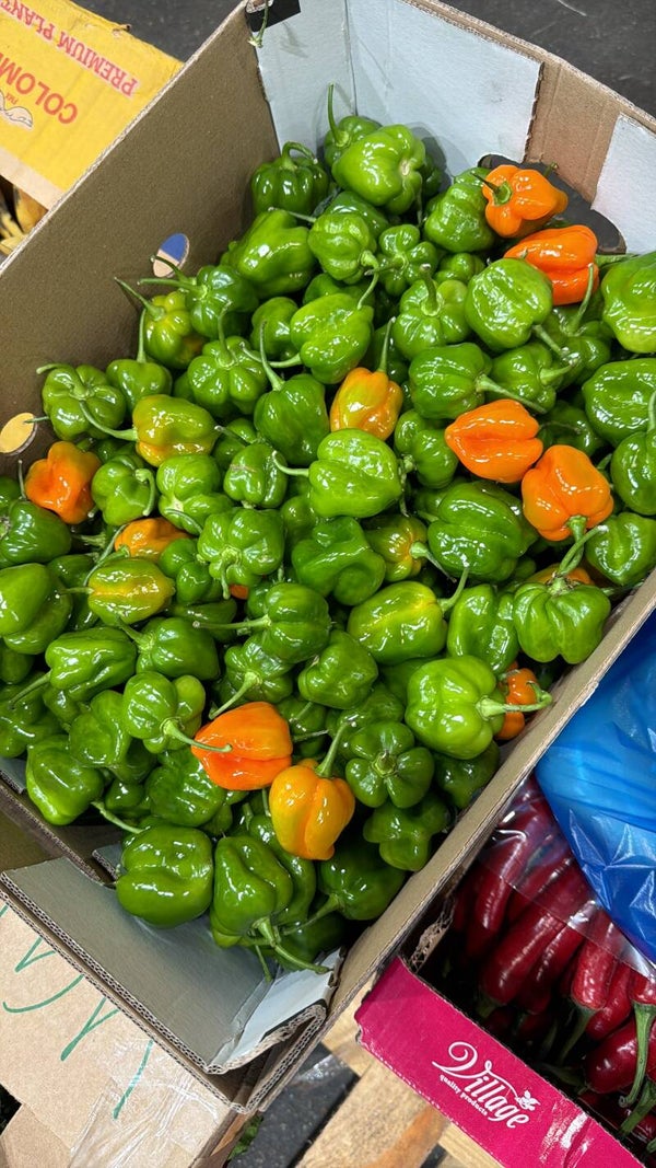 Green scotch bonnet