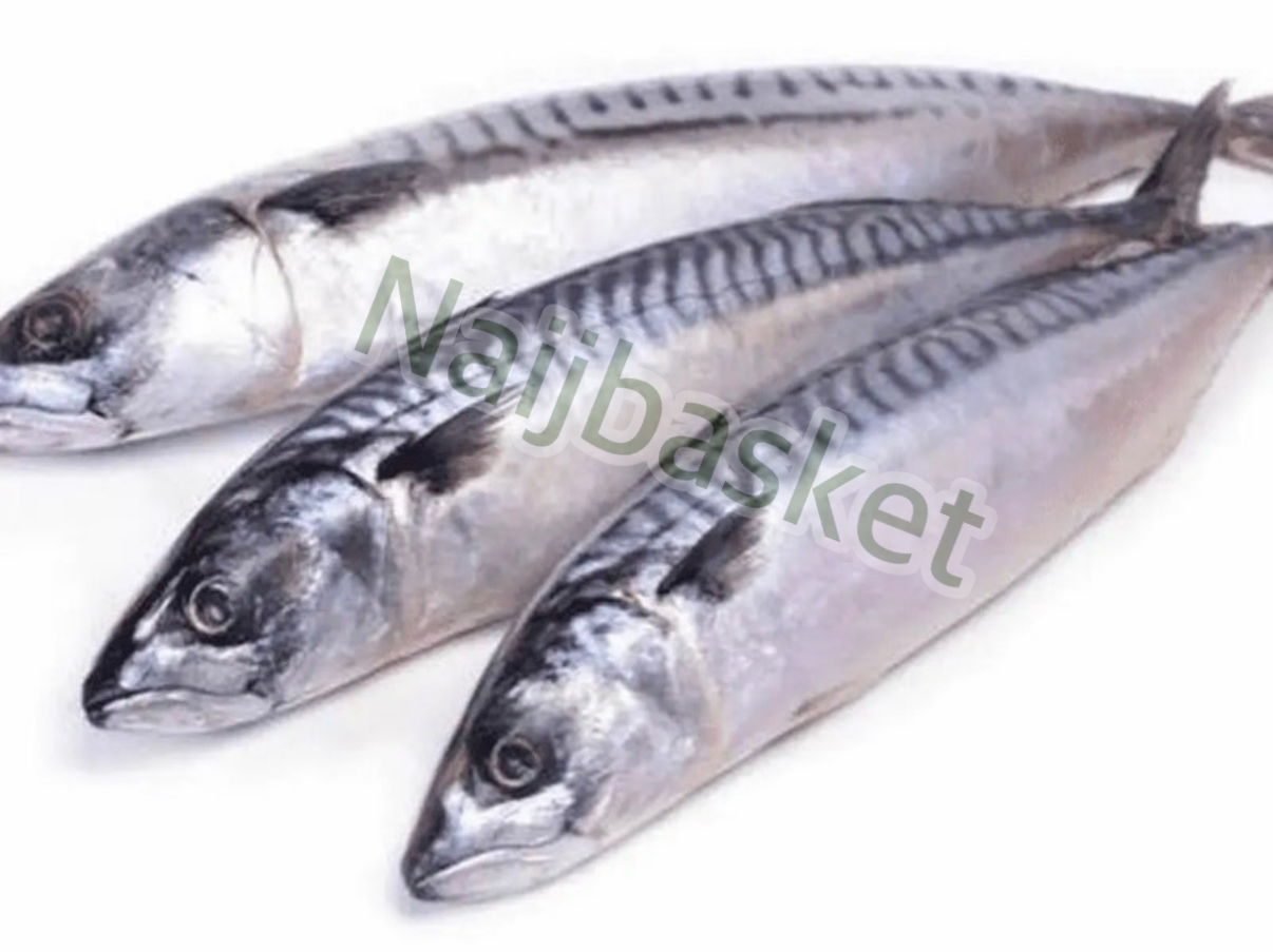 Mackerel (Titus)