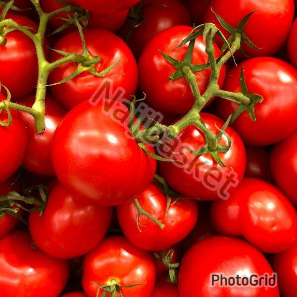 Tomatoes