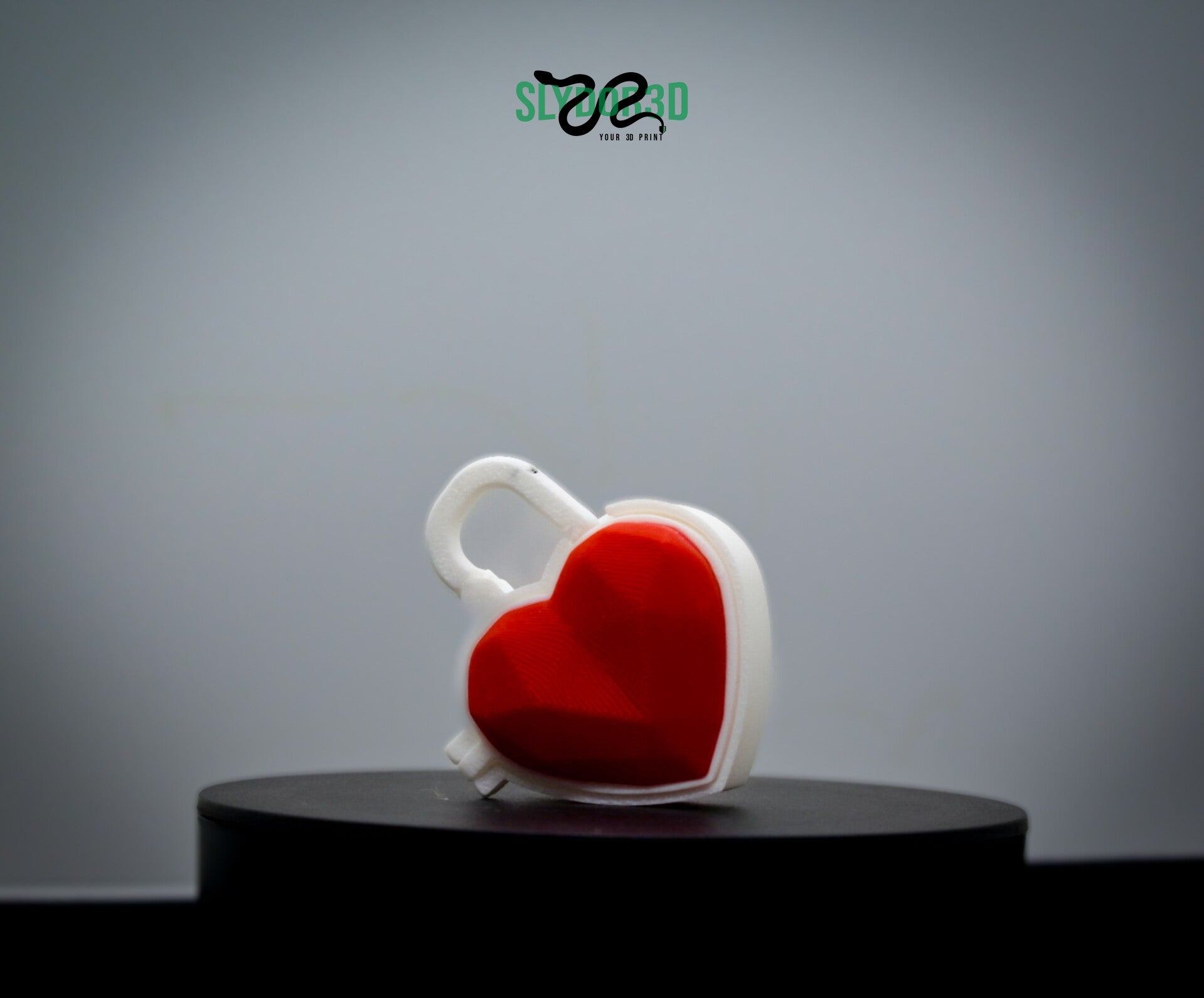 Herz mit Schloss – Kleine Schmuckdose & Schlüsselanhänger – Romantische Aufbewahrung für Ohrringe & Kleinteile