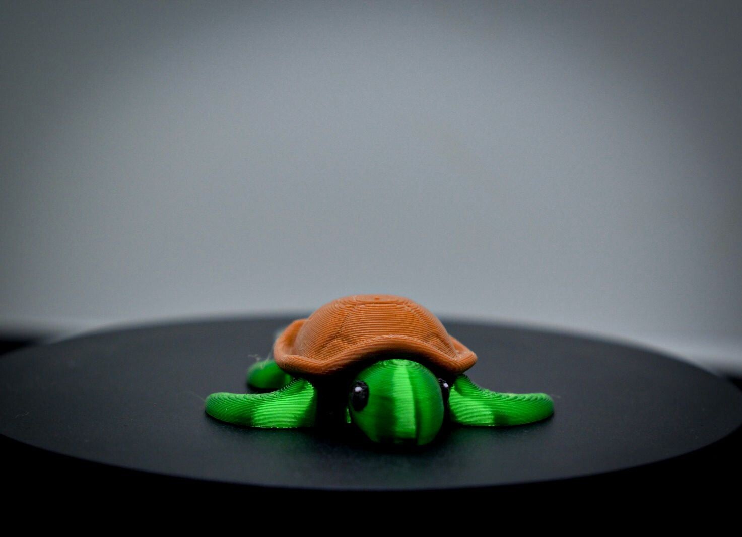Schildkröte Schlüsselanhänger beweglich | Süßes Fidget Toy Anhänger 3D gedruckt