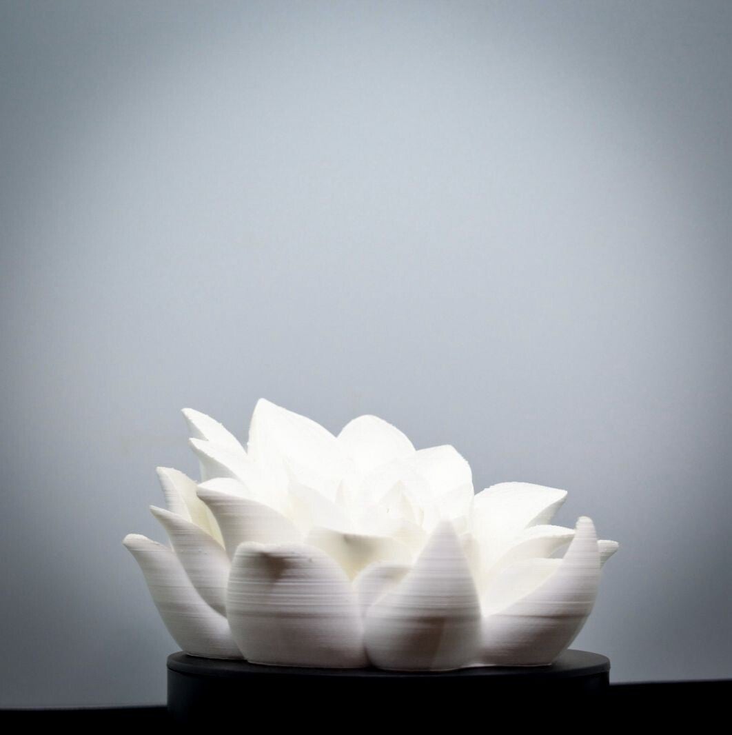 Buchständer Root of Awakening – Meditative Seerose im Zen Design – Spiritueller Buchhalter