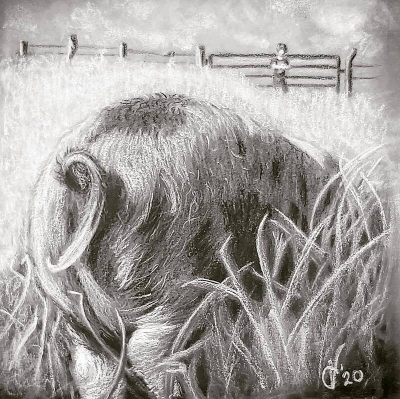 portret varken houtskool