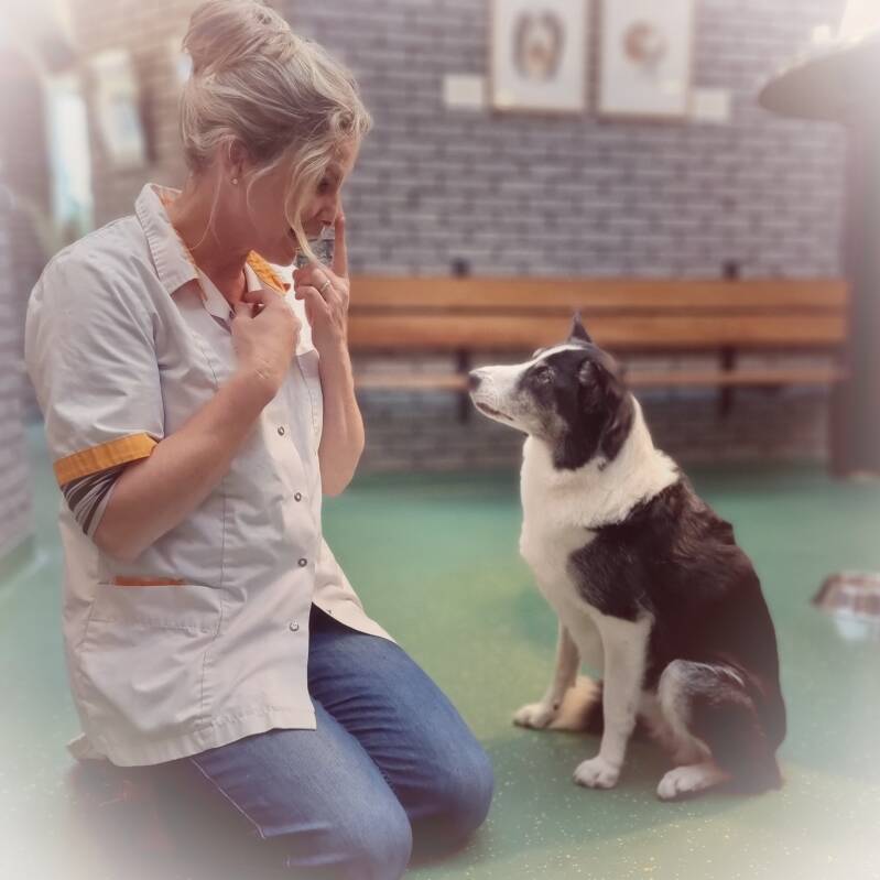 portret mens dier chantal verheijen