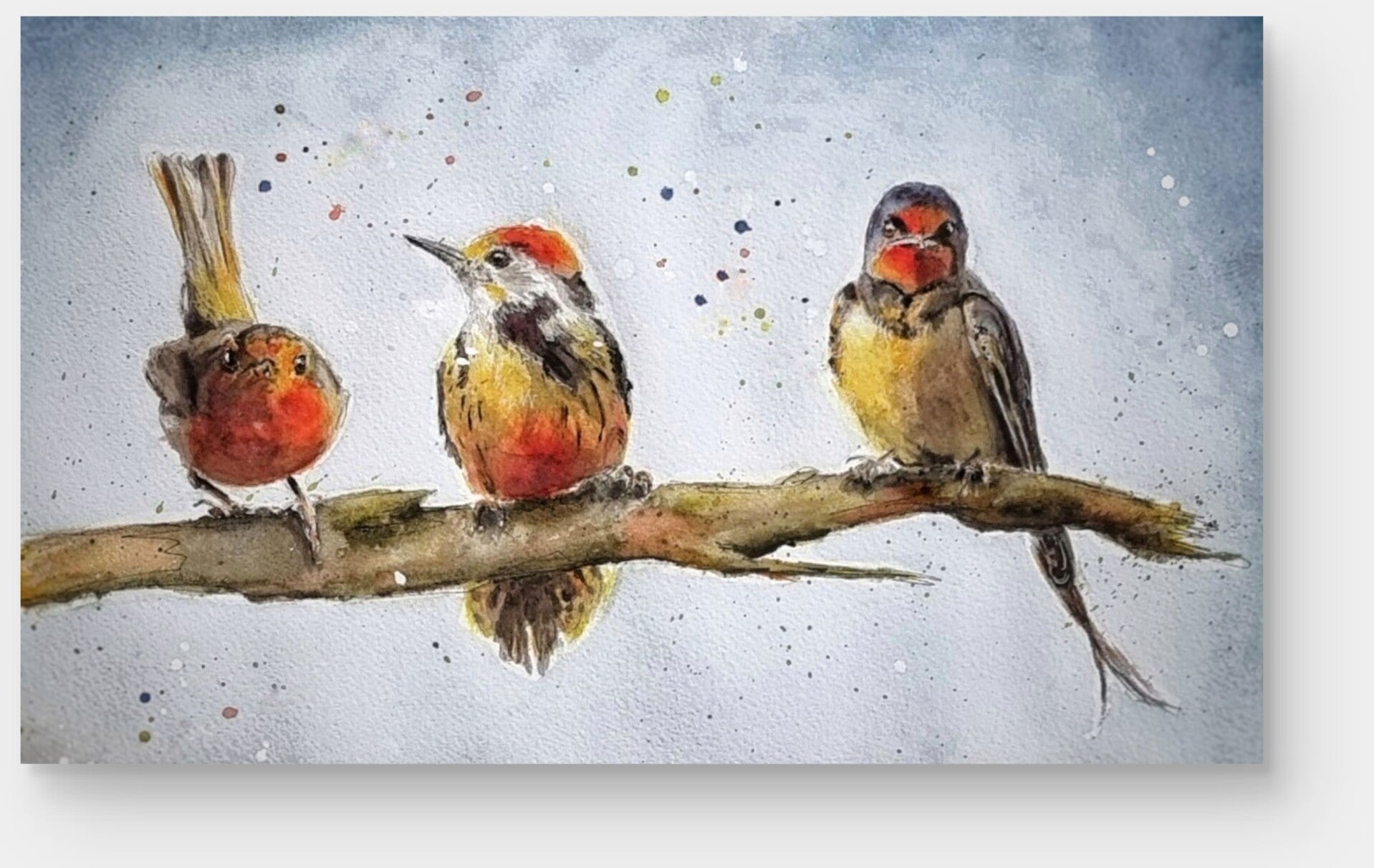 aquarel vogels