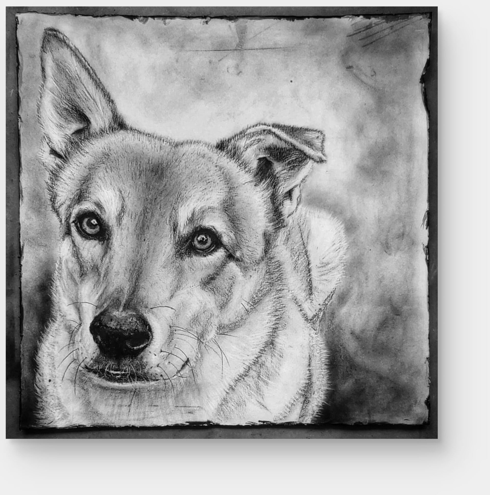 Dierportret houtskool