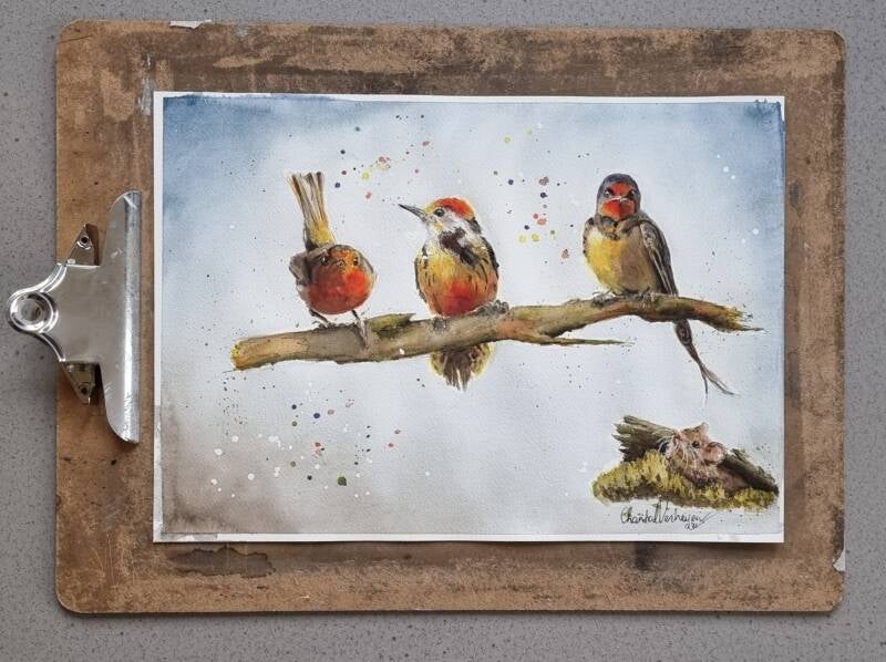aquarel birds vogels chantal verheijen