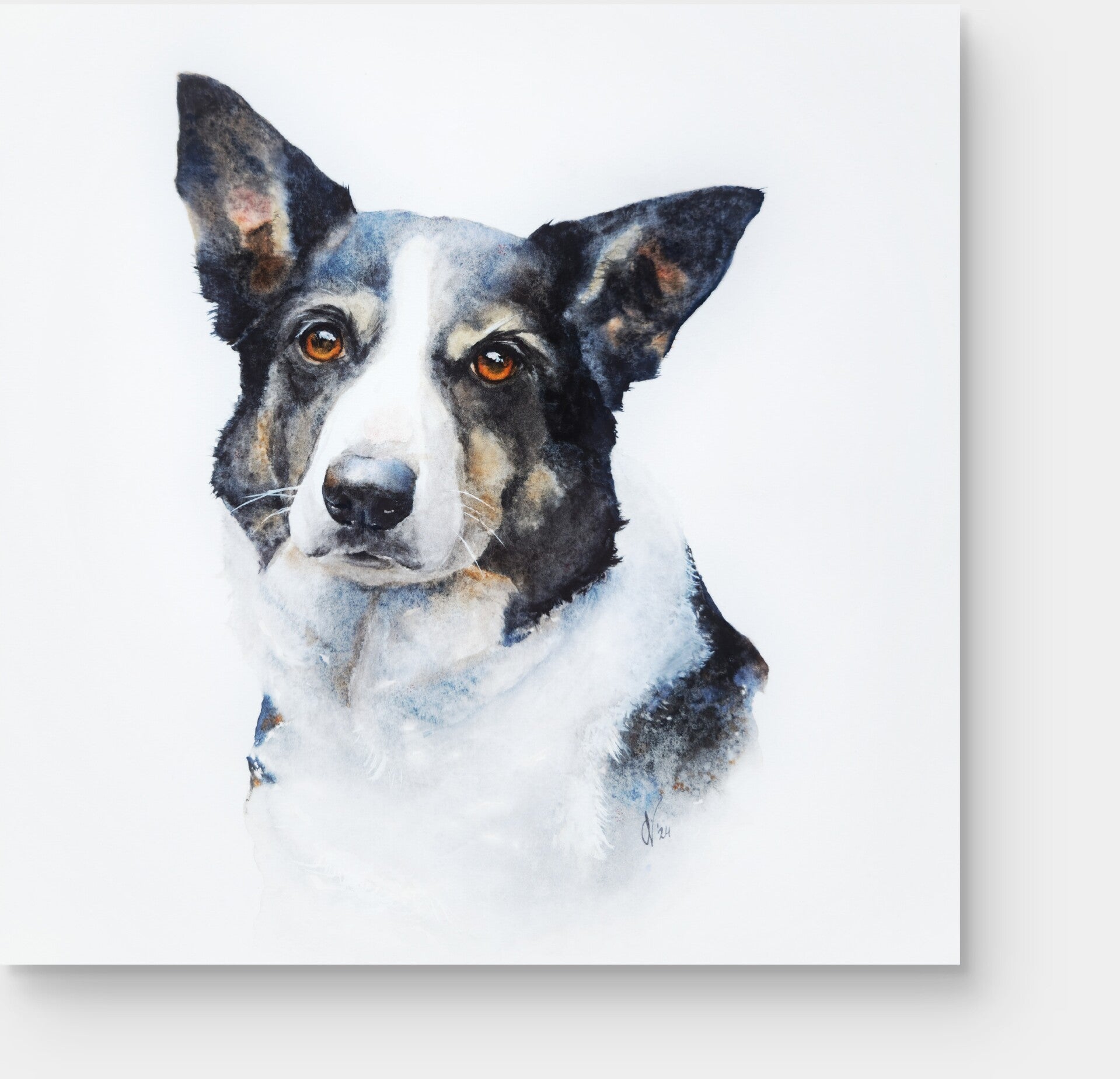 dierportret aquarel, warterverf, hondenportret