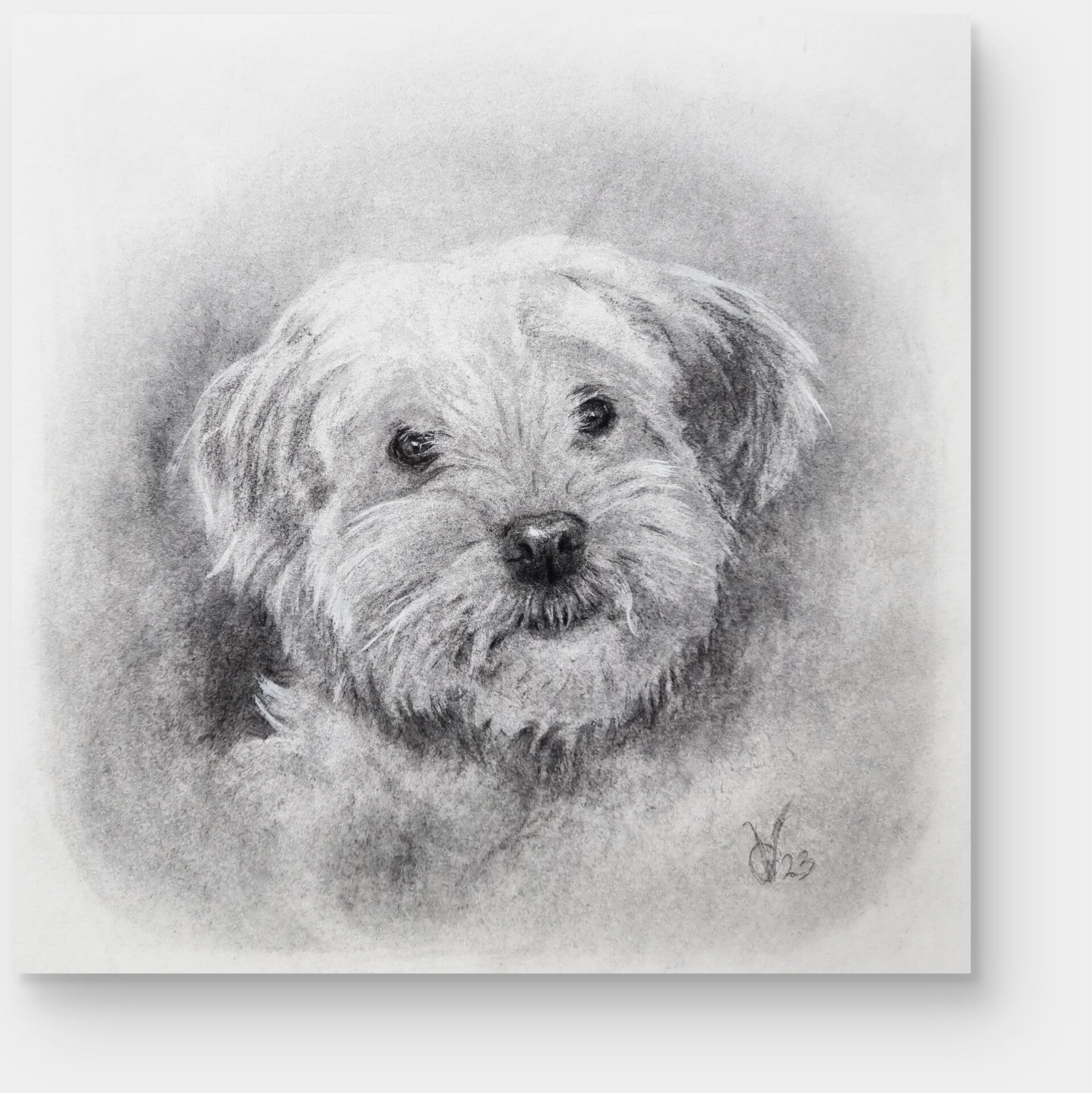 houtskool portret huisdier