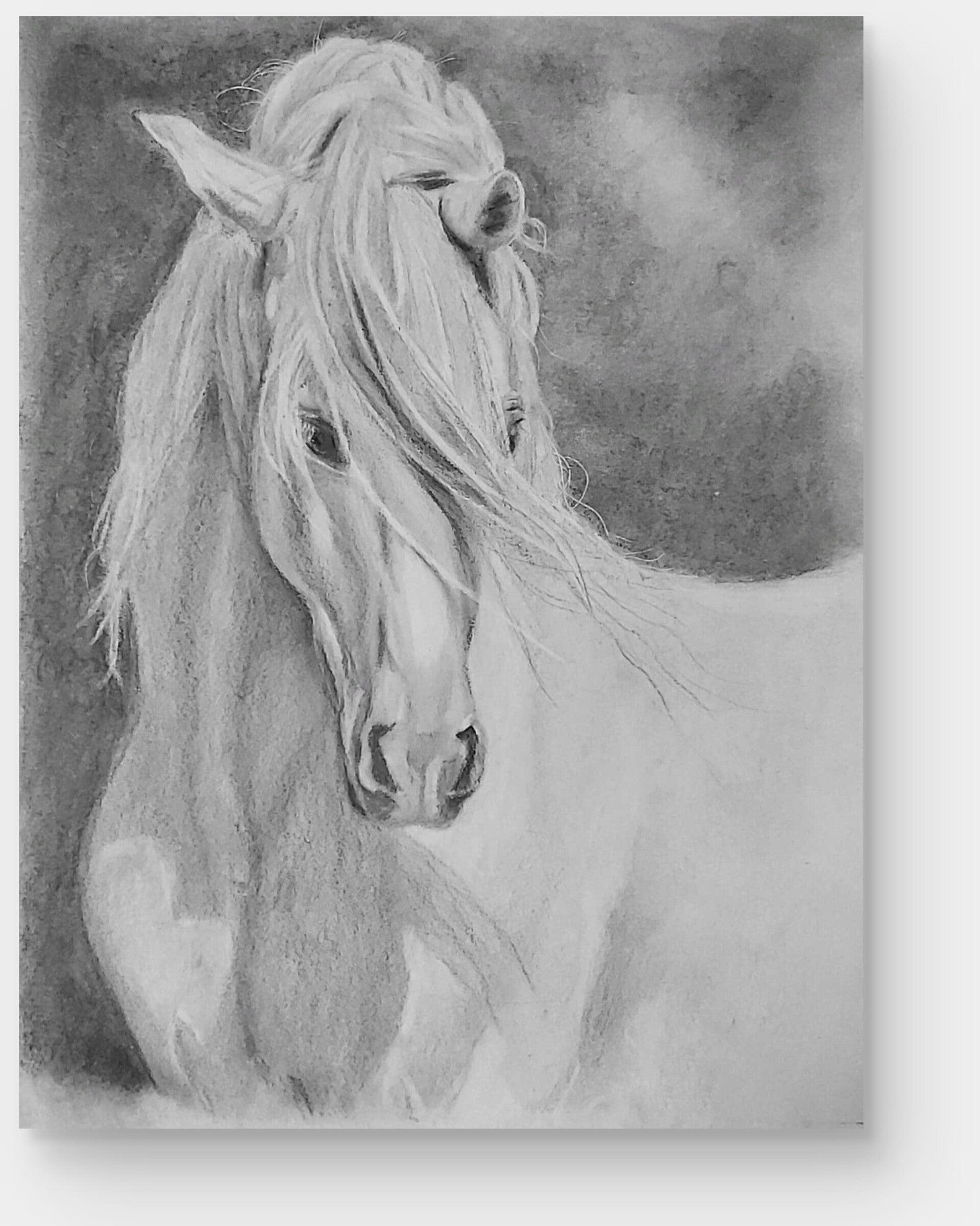 tekening paard houtskool