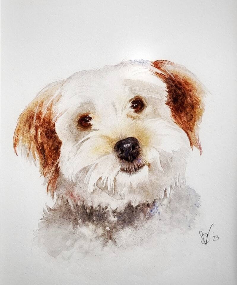 chantal verheijen aquarel dog hond