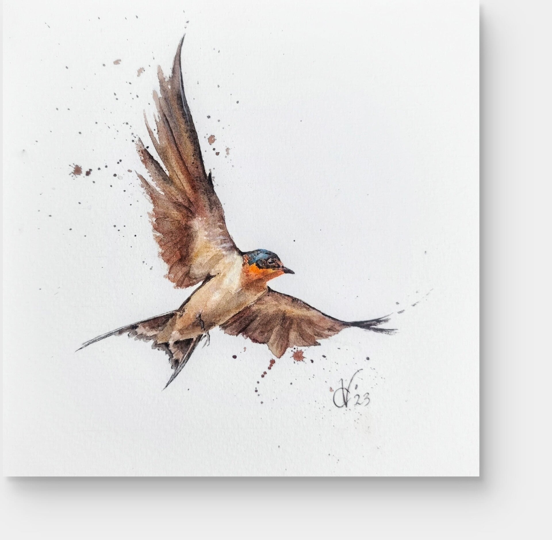 aquarel, vogel, boerenzwaluw