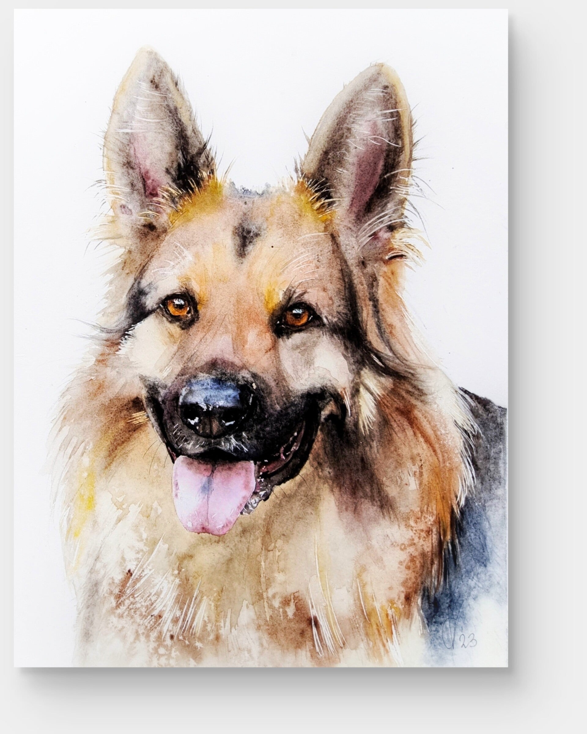 aquarel, dierportret, Duitse Herder, Chantal Verheijen 