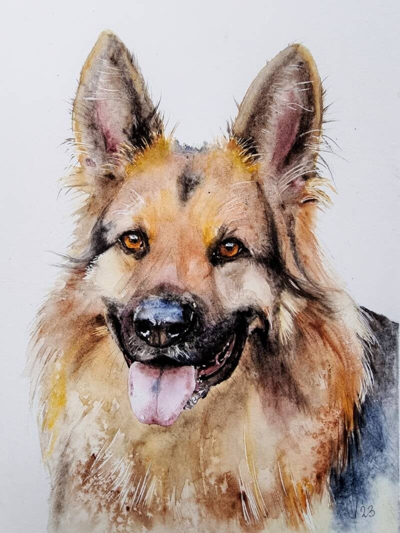 Watercolor animal portret German Shepherd chantal verheijen
